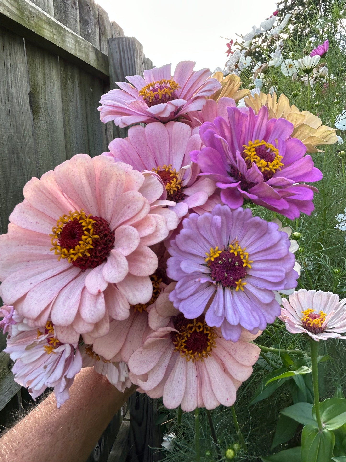 Pastel Pretties