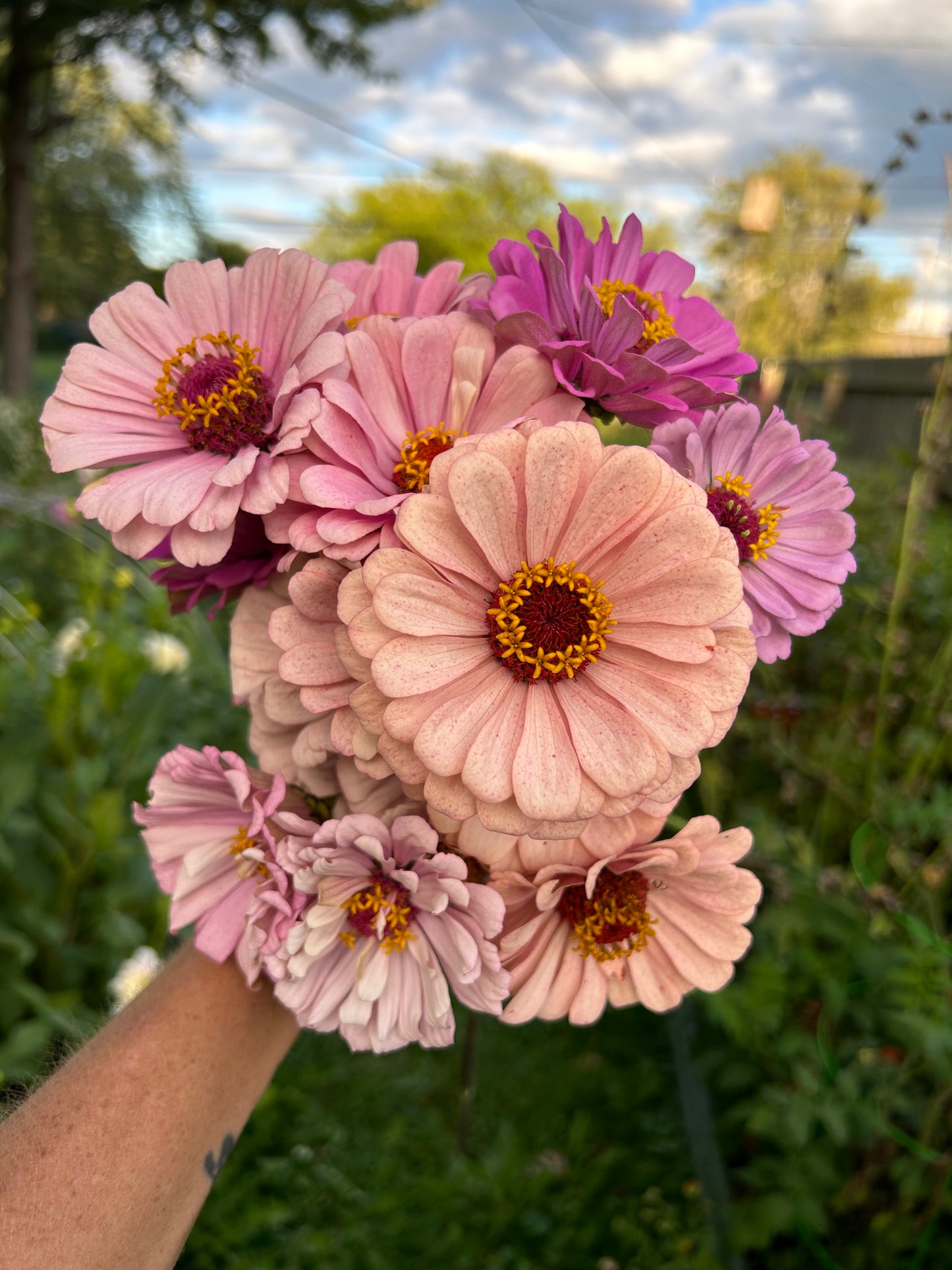 Pastel Pretties