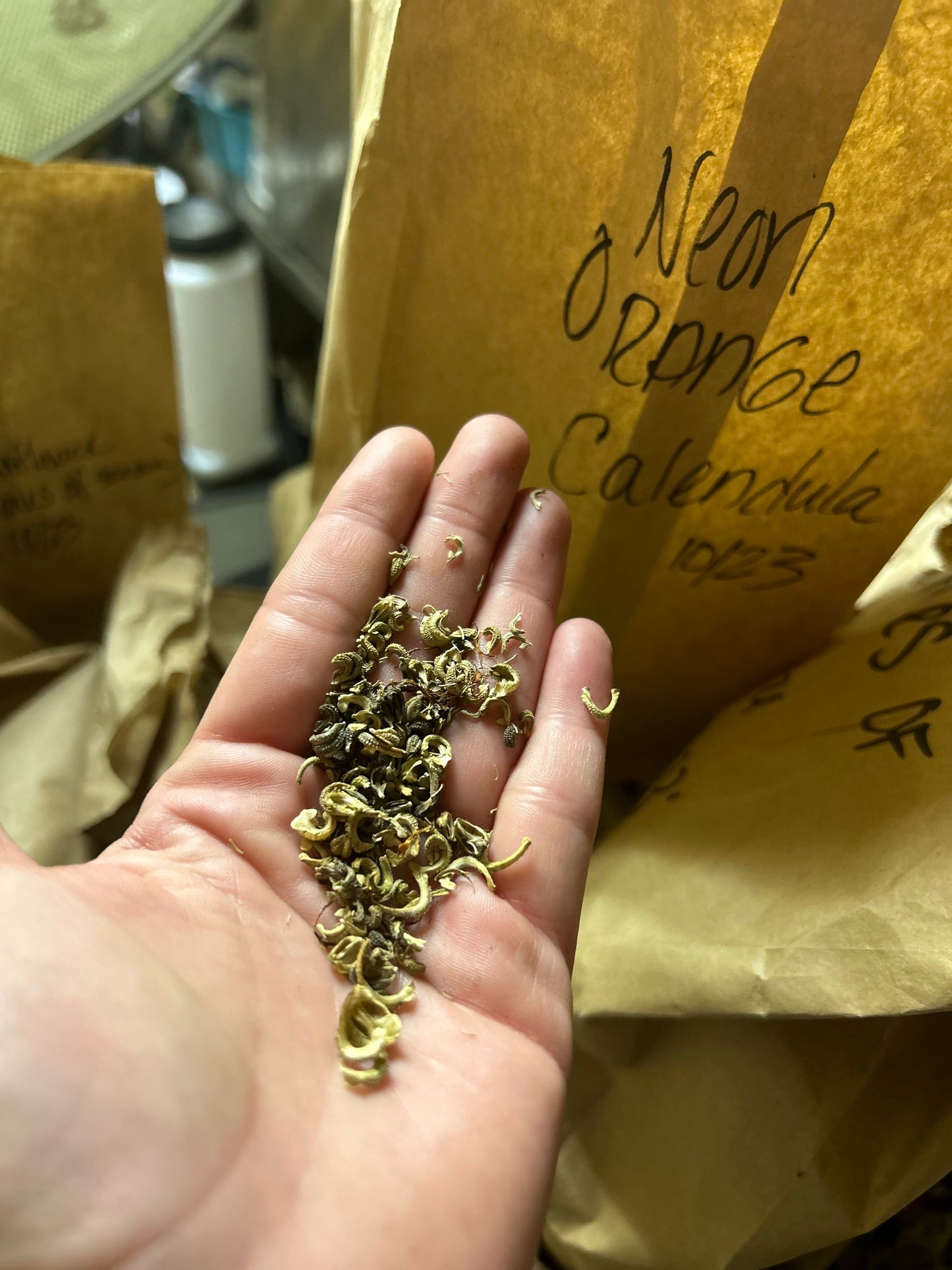 Ivory & Orange Calendula Mix